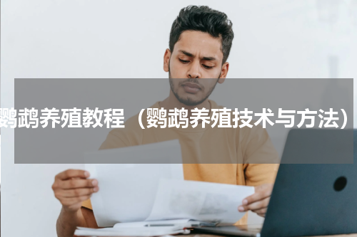 鹦鹉养殖教程（鹦鹉养殖技术与方法）