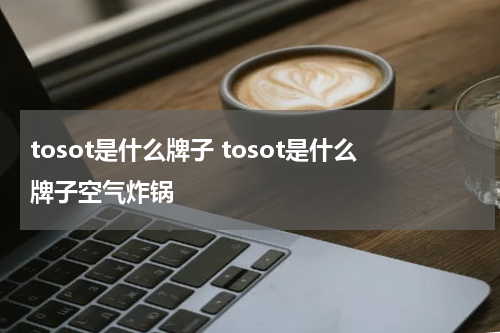 tosot是什么牌子 tosot是什么牌子空气炸锅