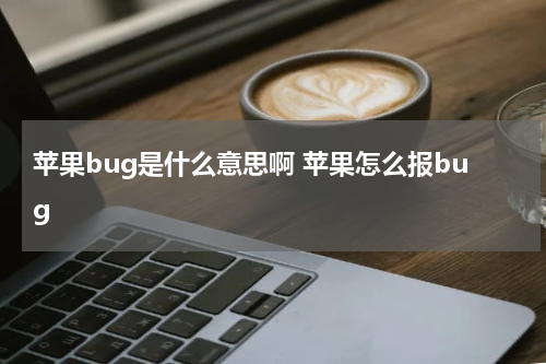 苹果bug是什么意思啊 苹果怎么报bug