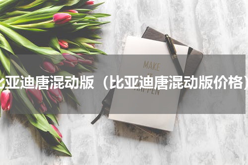 比亚迪唐混动版（比亚迪唐混动版价格）