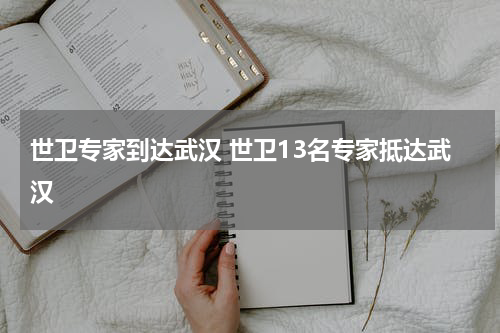 世卫专家到达武汉 世卫13名专家抵达武汉
