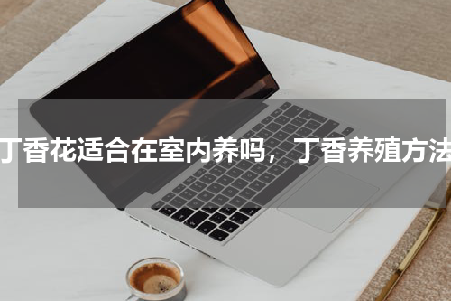 丁香花适合在室内养吗，丁香养殖方法