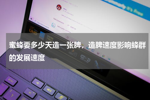 蜜蜂要多少天造一张脾，造脾速度影响蜂群的发展速度