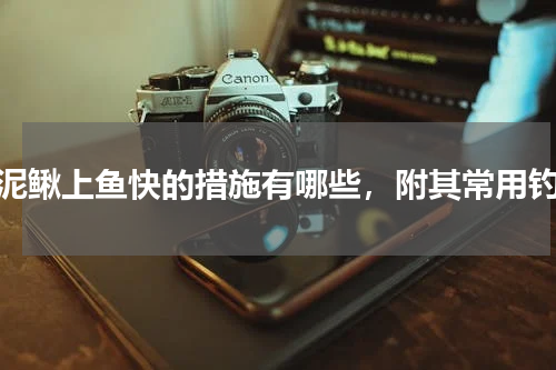 钓泥鳅上鱼快的措施有哪些，附其常用钓法