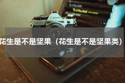 花生是不是坚果（花生是不是坚果类）