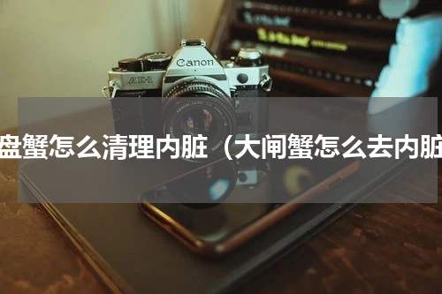 大盘蟹怎么清理内脏（大闸蟹怎么去内脏）