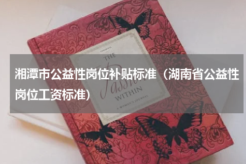 湘潭市公益性岗位补贴标准（湖南省公益性岗位工资标准）