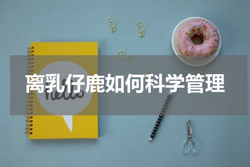 离乳仔鹿如何科学管理