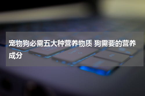 宠物狗必需五大种营养物质 狗需要的营养成分