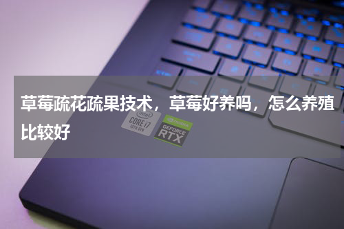 草莓疏花疏果技术，草莓好养吗，怎么养殖比较好