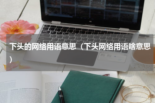 下头的网络用语意思（下头网络用语啥意思）