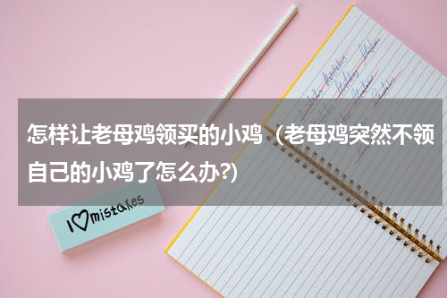 怎样让老母鸡领买的小鸡（老母鸡突然不领自己的小鸡了怎么办?）